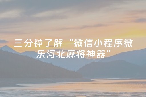 我来教大家“雀神广东麻将助赢神器”（详细透视教程）-哔哩哔哩