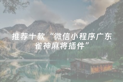 玩家必看攻略“程序麻将机软件（专用辅牌神器免安装）