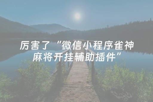 玩家必看攻略“微乐陕西麻将挂件神器（助赢神器通用版）