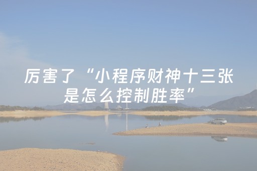 玩家实测“微乐插件程序教程（专用辅牌神器免安装）