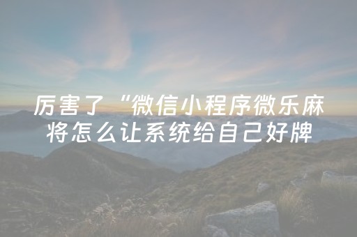 3分钟学会“微信麻将胡牌神器（专用辅牌神器免安装）