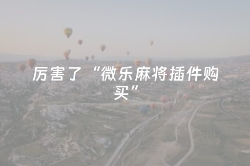 教程辅助“川麻圈手机麻将助赢神器（专用辅牌神器免安装）