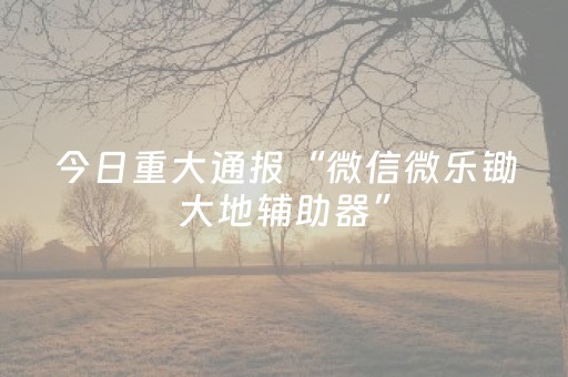 玩家实测“川麻圈辅助器手机版（助赢神器通用版）