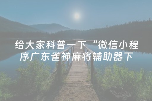 终于发现了“手机跑得快专用算牌器（助赢神器通用版）