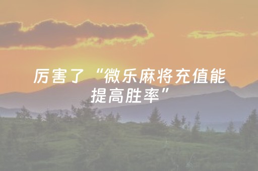 必看教程“小程序微乐麻将可以作假吗（助赢神器通用版）