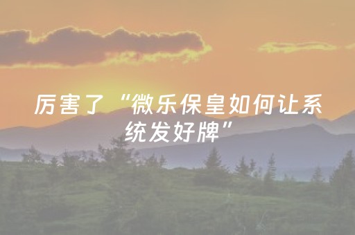 2分钟秒懂！“微乐斗地主助赢神器购买”（详细透视教程）-哔哩哔哩