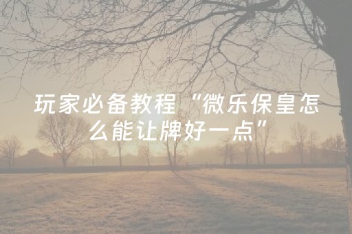玩家必备教程“微乐麻将插件程序教程（助赢神器通用版）