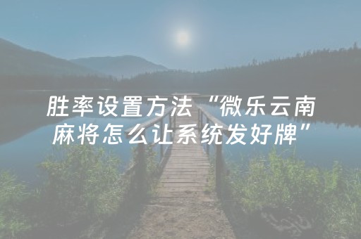 玩家必备教程“麻友圈2辅助器怎么安装（助赢神器通用版）