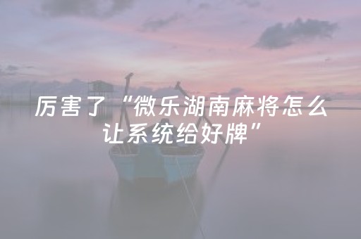 终于发现了“最新麻将解码器（助赢神器通用版）