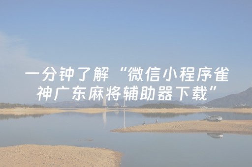 胜率设置方法“白金岛三打哈辅助工具（助赢神器通用版）
