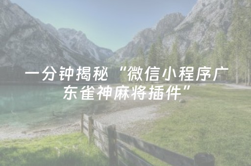 玩家实测“有没有软件控制器红包控制软件下载”（详细透视教程）-哔哩哔哩