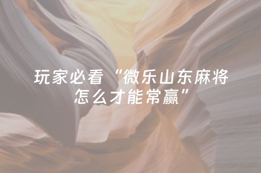终于发现“闲来麻将软挂神器（助赢神器通用版）