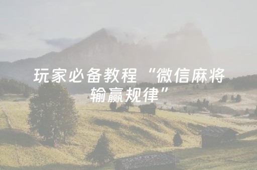 玩家实测“小程序微乐麻将怎么打才能赢（助赢神器通用版）