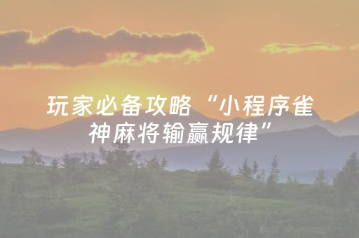 玩家必看教程！“陕麻圈到底有没有外挂”（详细开挂教程）-哔哩哔哩