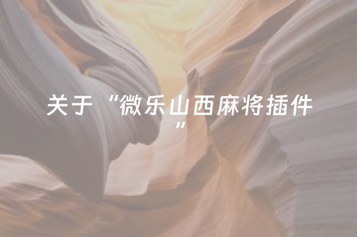 关于“微乐山西麻将插件”（开挂辅助器脚本)