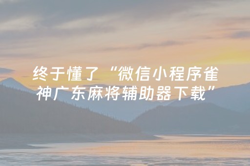 实测结果“微乐江苏麻将挂件神器通用（专用辅牌神器免安装）