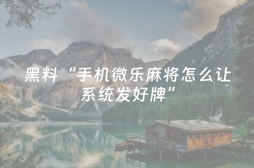 教程辅助“微乐河南跑得快专用神器（助赢神器通用版）