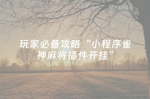 实测教程“吉祥麻将铺牌器购买（专用辅牌神器免安装）