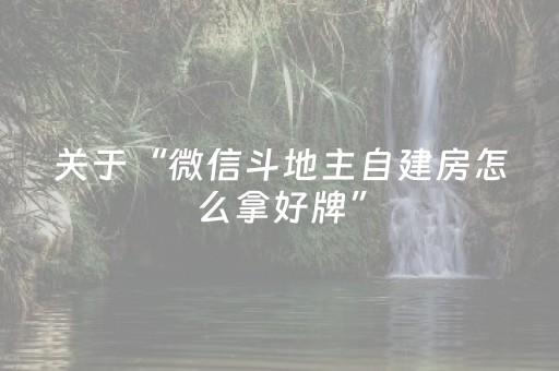 实测教程“雀神麻将输赢规律（专用辅牌神器免安装）