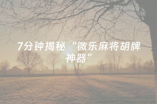 终于发现“微乐麻将小程序辅牌器（助赢神器通用版）