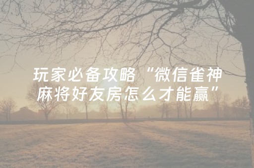 实测结果“微乐四川麻将挂件神器通用（助赢神器通用版）