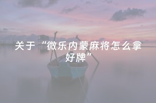 我来教大家“麻将程序控牌器免安装（专用辅牌神器免安装）