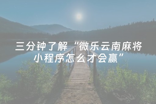 必看教程！“微乐海南麻将专用神器”（详细开挂教程）-哔哩哔哩
