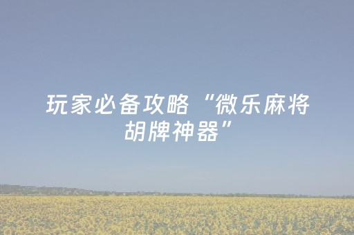 教程辅助“小程序微乐麻将怎么重新洗牌（专用辅牌神器免安装）