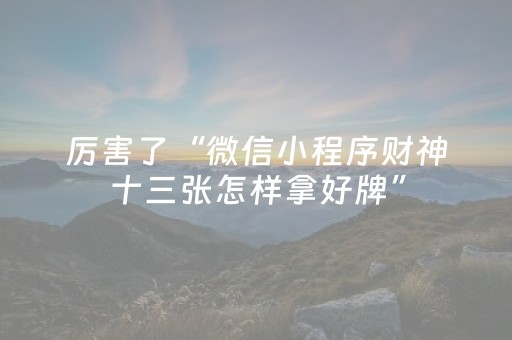 玩家实测“微信小程序麻将软件神器（专用辅牌神器免安装）