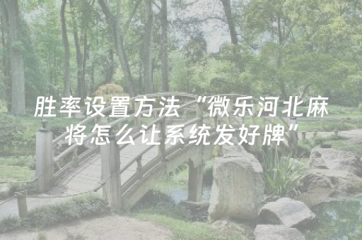 必看教程“微乐河北麻将容易胡牌的技巧（专用辅牌神器免安装）