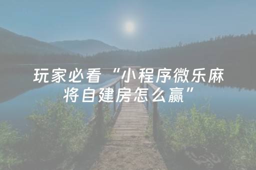 教程辅助“普通自动麻将机控牌器（助赢神器通用版）