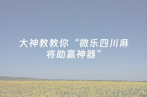 实测教程“手机跑得快专用算牌器（助赢神器通用版）