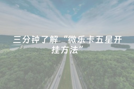 实测教程“雀神微信小程序免费辅助器（专用辅牌神器免安装）