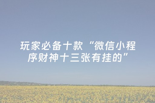 我来教大家“功夫麻将软挂神器（专用辅牌神器免安装）