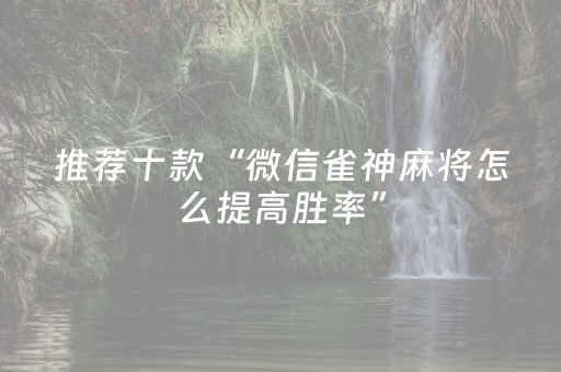 3分钟学会“微乐麻将专用挂（专用辅牌神器免安装）