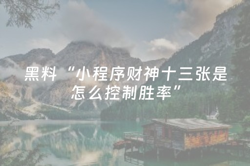 终于发现了“微信小程序雀神辅助器免费下载（助赢神器通用版）