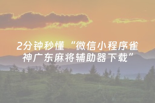 终于发现“家乡大贰辅助器（专用辅牌神器免安装）