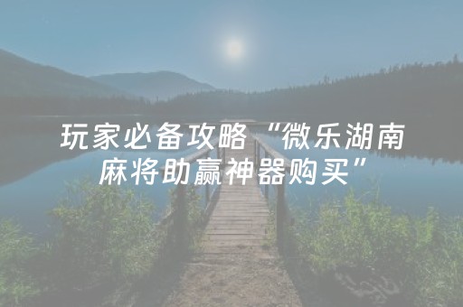 玩家必备教程“微乐陕西红中麻将助赢神器购买（专用辅牌神器免安装）