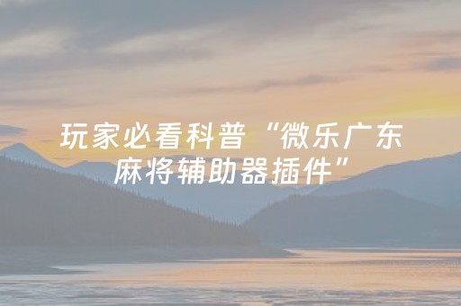 实测分享“微信雀神小程序控制台（助赢神器通用版）