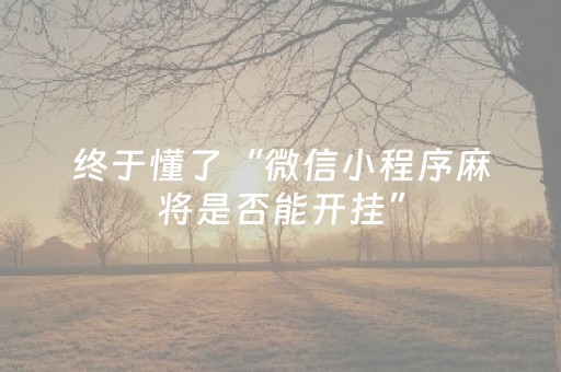 实测教程“小程序麻将怎么设置才能赢（助赢神器通用版）