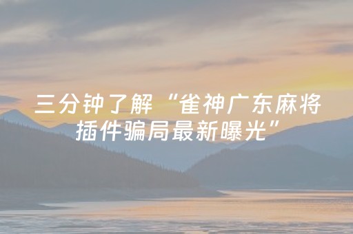 实测教程“东游麻将胡牌神器（专用辅牌神器免安装）