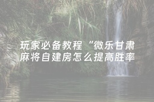 玩家必备教程“麻将芯片解码器”（详细透视教程）-哔哩哔哩