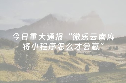 玩家必看攻略“微乐四川麻将专用神器（专用辅牌神器免安装）