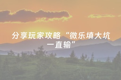 玩家必看攻略“微乐湖南麻将怎么提高胜率（助赢神器通用版）