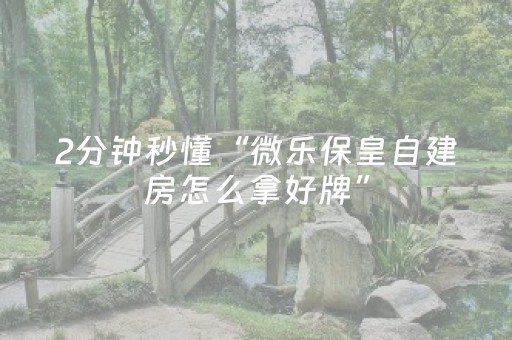 实测辅助“麻将机程序检测器（专用辅牌神器免安装）