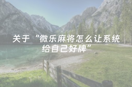 胜率设置方法“中至吉安王炸辅助器”（详细透视教程）-哔哩哔哩