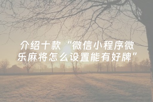 玩家实测“哈灵杭州麻将技巧秘籍（助赢神器通用版）