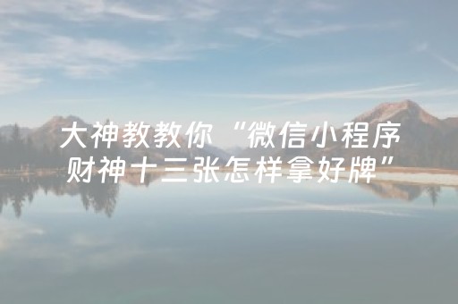 实测分享“家乡大贰辅助器（专用辅牌神器免安装）