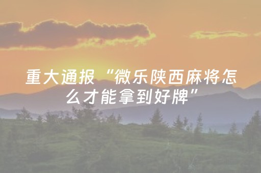 重大通报“微乐陕西麻将怎么才能拿到好牌”（开挂辅助脚本)