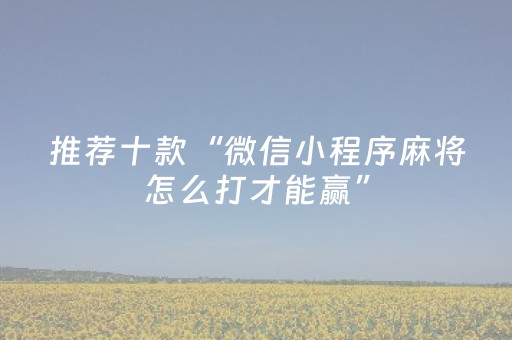 必看教程“微乐辽宁麻将挂件神器”（详细透视教程）-哔哩哔哩